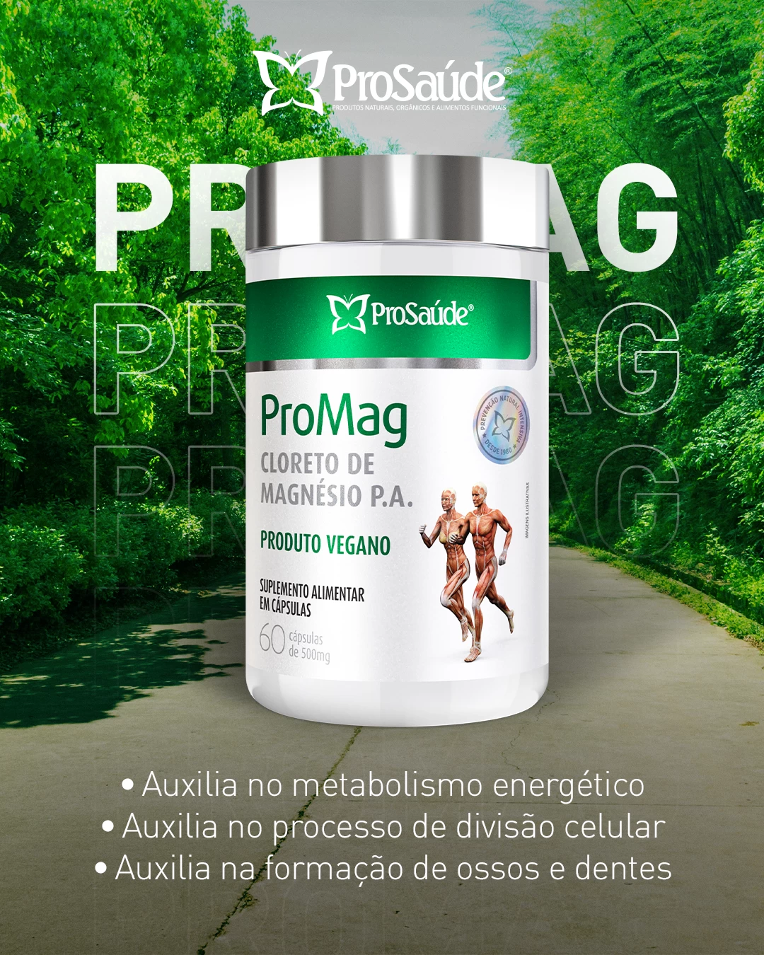 ProMag -Cloreto de Magnésio P.A   image hover