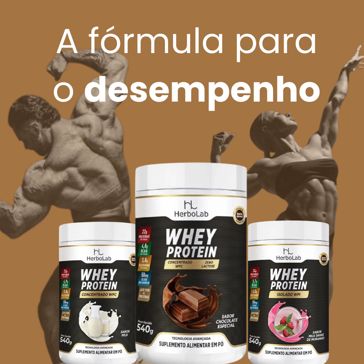 Whey Protein Concentrado (Zero Lactose) - Sabor Chocolate